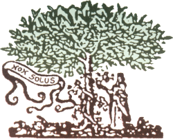 Albero AZAR LEGNO